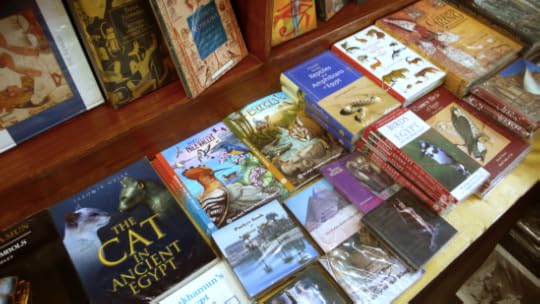 Screen Shot 2013-11-05 at 11.38.39 PM