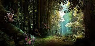  photo forest_zps144a8503.jpg