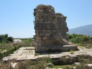 IMG_3586