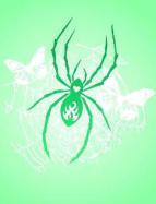 spider