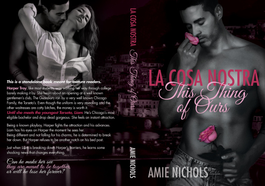 amie_book cover full jacket