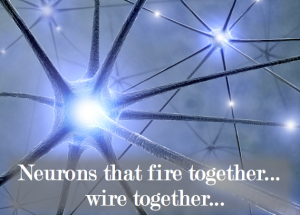 Neurons-that-fire-together