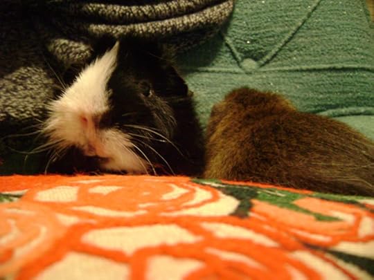 Thaddeus’ little face looks so cute and so hopeful in this picture. He could have been in Willow. 