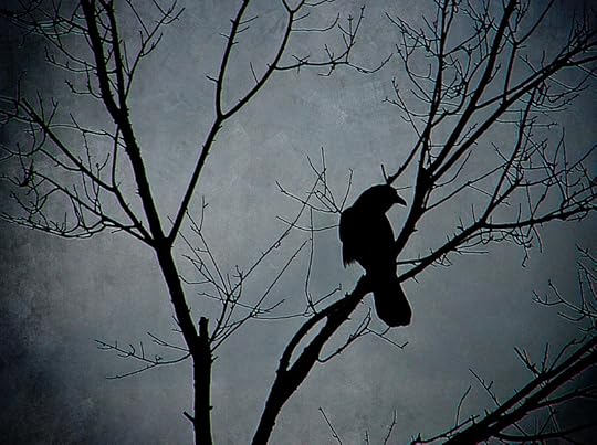 Perchance, Patiently Perched