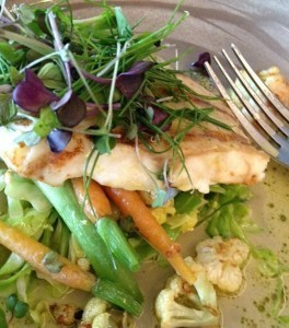 Catfish in Norway