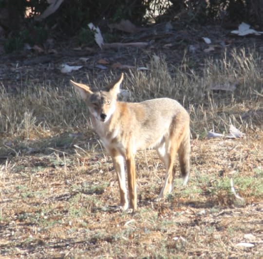 Screen Shot 2014-07-23 at 11.14.57 AM