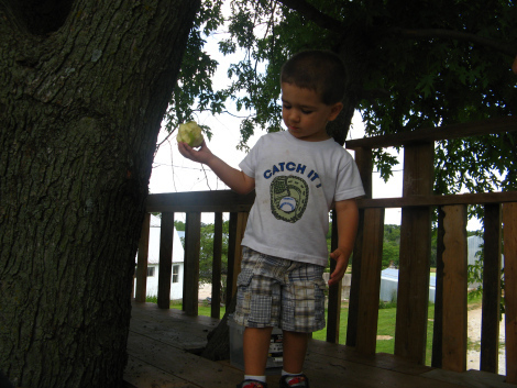 Treehouse 2
