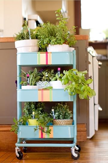 herb-garden-that-you-can-roll-around