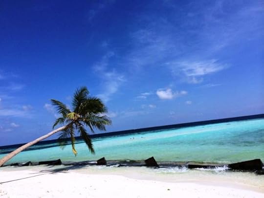 photo, image, beach, maldives