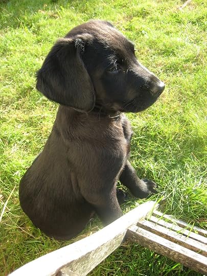 Tilly in September 2009