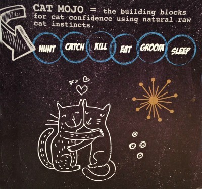 Jackson_Galaxy_Collection