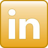 LinkedIn Premium Badge