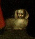 Holbein the Dog