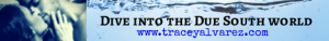 Due South banner