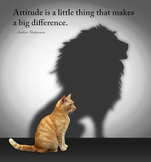 ATTITUDE