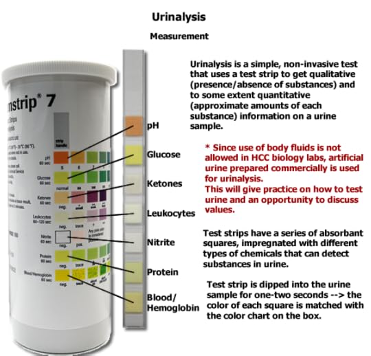 Urinalysis - Measurement
