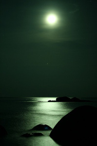 Night Sea Journey