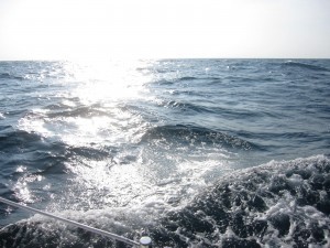IMG_3126