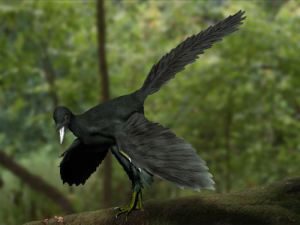 Feathered dinosaurs may have looked like this