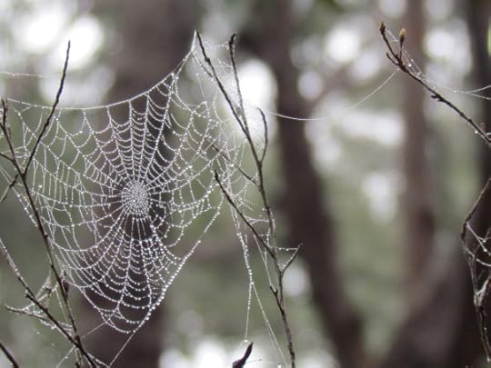 Hobbies of technical writers