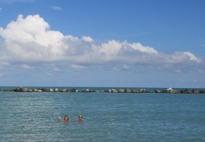 IMG_1288