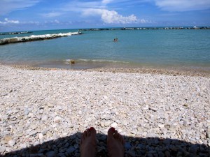 IMG_1284
