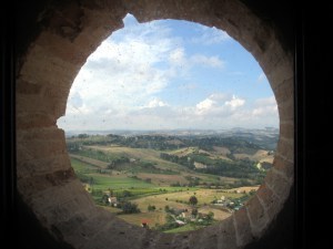 IMG_1293