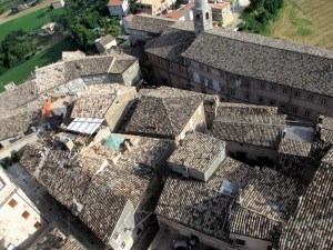 IMG_1299