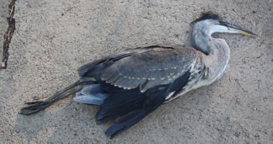 Screen Shot 2014-07-23 at 10.38.18 AM