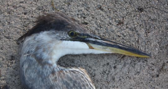 Screen Shot 2014-07-23 at 10.38.32 AM