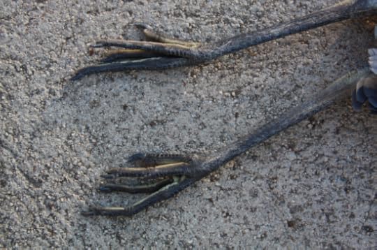 Screen Shot 2014-07-23 at 10.41.48 AM