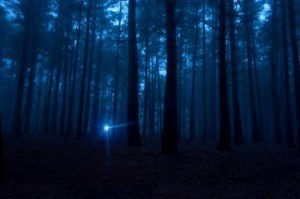 156365-375x249-A-flashlight-shining-in-the-dark-woods