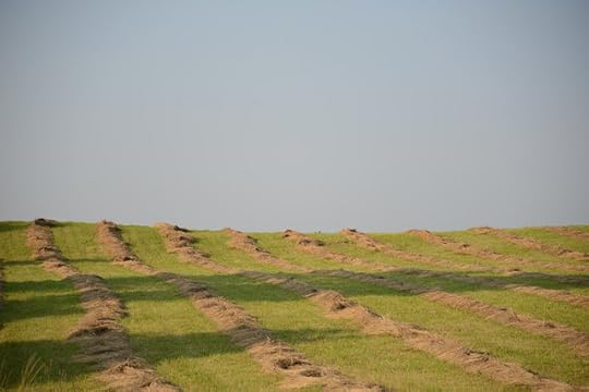 DSC_1626