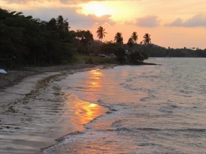 Edge of Samana Bay