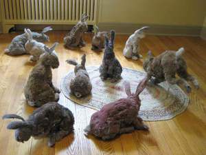 Fully realized dustbunnies.