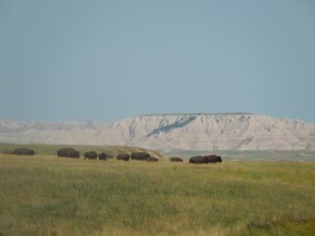 DSCN0295
