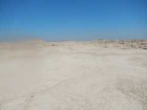 DSCN0253