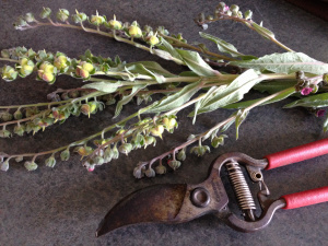 Bye-bye, stick-tights!