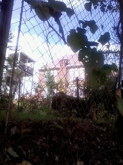 Fence view