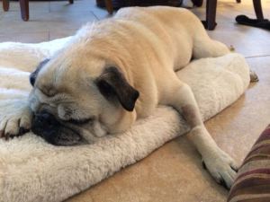 Jelly is out like a Chicago White Sox designated hitter.