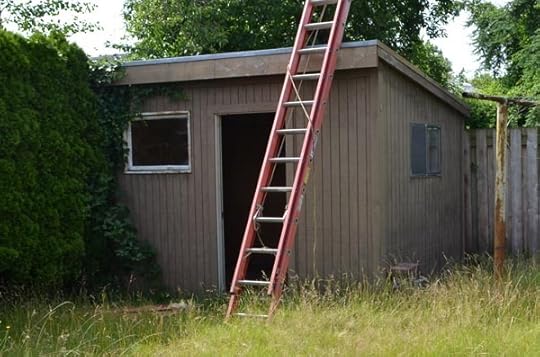 rotten-shed