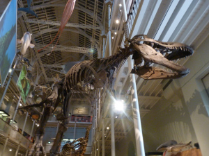 National Museum of Scotland