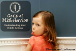 4-Goals-of-Misbehavior-Understanding-Your-Childs-Actions