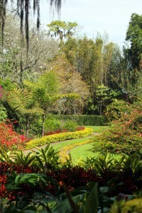 Old Cypress Gardens still exists at Legoland Florida. Photo by Thomas Cook