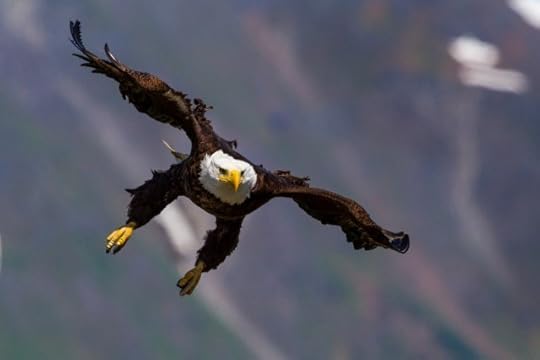 You Can Soar Above Your Haters!