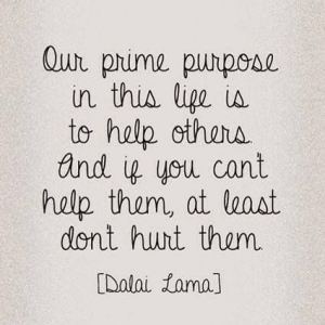 Dalai Lama Quote