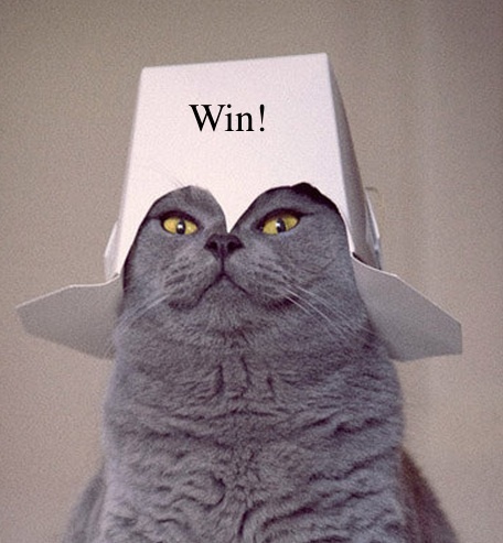 Ali gets to wear the 'winner' hat