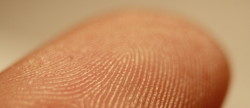 Fingerprint_detail_on_male_finger