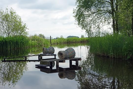 dutch-duck-homes