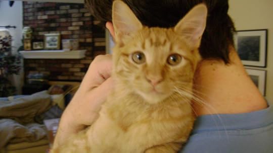 Apollo the Pest (Okay, okay--he's actually pretty cool!)